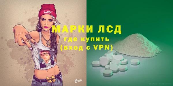 стаф Баксан