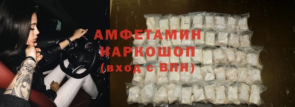 стаф Баксан