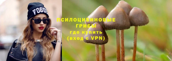 хмурый Балабаново