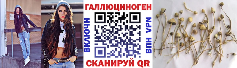 Галлюциногенные грибы MAGIC MUSHROOMS  дарнет шоп  Магас 